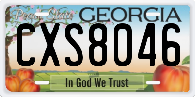 GA license plate CXS8046