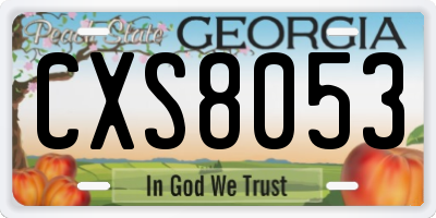 GA license plate CXS8053