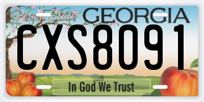 GA license plate CXS8091