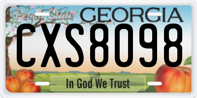 GA license plate CXS8098