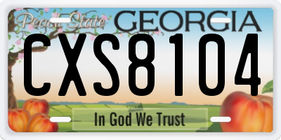 GA license plate CXS8104