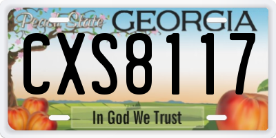 GA license plate CXS8117
