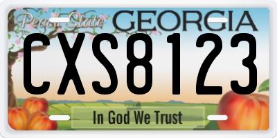 GA license plate CXS8123