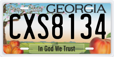 GA license plate CXS8134