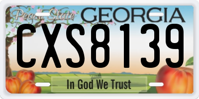 GA license plate CXS8139