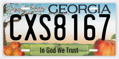 GA license plate CXS8167