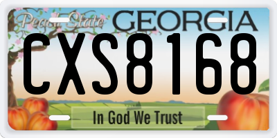 GA license plate CXS8168
