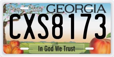 GA license plate CXS8173