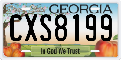 GA license plate CXS8199
