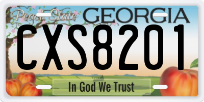 GA license plate CXS8201