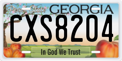 GA license plate CXS8204