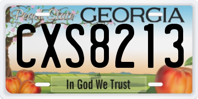 GA license plate CXS8213