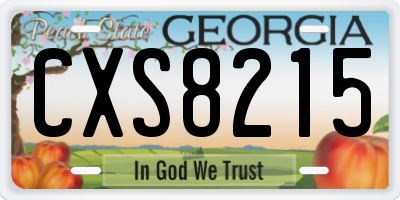 GA license plate CXS8215