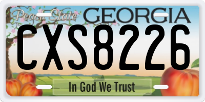 GA license plate CXS8226