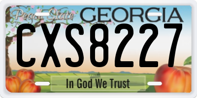 GA license plate CXS8227
