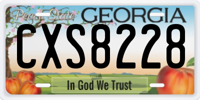 GA license plate CXS8228