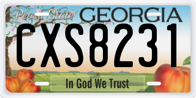 GA license plate CXS8231