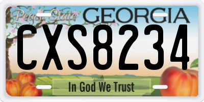 GA license plate CXS8234