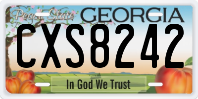 GA license plate CXS8242