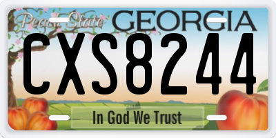 GA license plate CXS8244