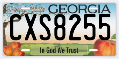 GA license plate CXS8255