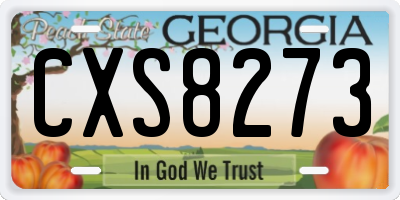 GA license plate CXS8273