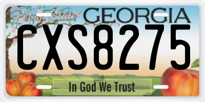 GA license plate CXS8275