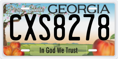 GA license plate CXS8278