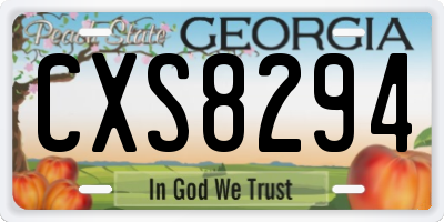 GA license plate CXS8294