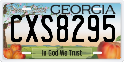 GA license plate CXS8295