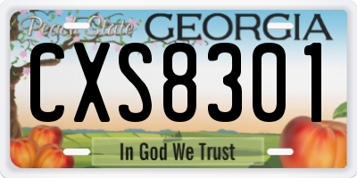 GA license plate CXS8301