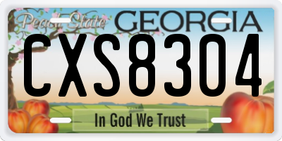 GA license plate CXS8304