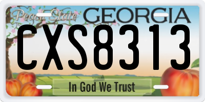 GA license plate CXS8313