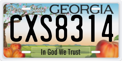 GA license plate CXS8314