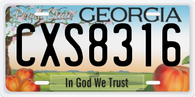 GA license plate CXS8316