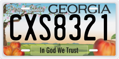 GA license plate CXS8321