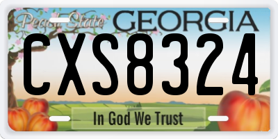 GA license plate CXS8324