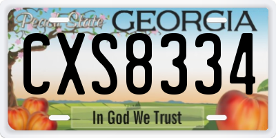 GA license plate CXS8334