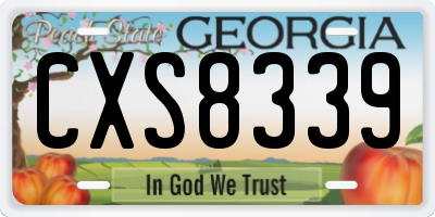 GA license plate CXS8339