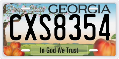 GA license plate CXS8354