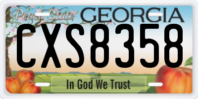 GA license plate CXS8358