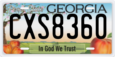 GA license plate CXS8360