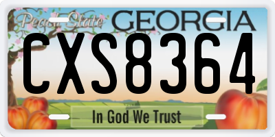 GA license plate CXS8364