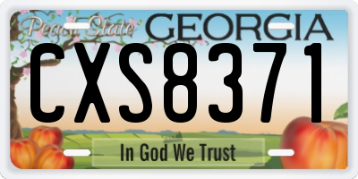 GA license plate CXS8371