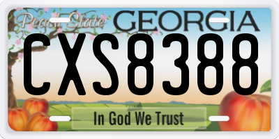 GA license plate CXS8388