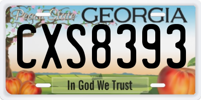 GA license plate CXS8393