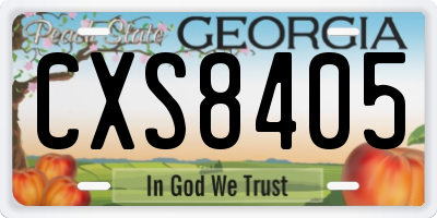 GA license plate CXS8405