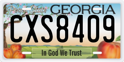 GA license plate CXS8409