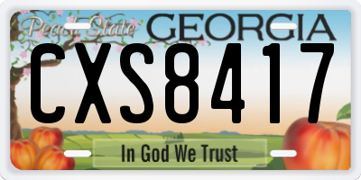 GA license plate CXS8417