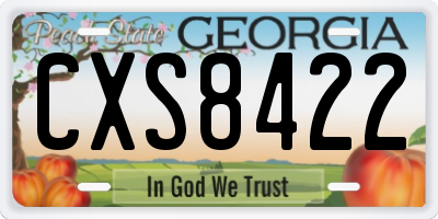 GA license plate CXS8422